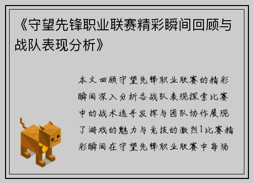 《守望先锋职业联赛精彩瞬间回顾与战队表现分析》